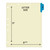 Chart Dividers, Side Tab, Position 1, Patient Information, Blue, 100/Box