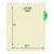 Chart Dividers, Side Tab, Position 2, Lab, Lt Green, 100/Box