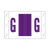 Tab Alpha Code Labels Letter G Purple 14107