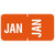 Tabbies Month Labels January Orange 70231