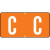 Tab Products Alphabetic Labels Letter C Dark Orange TBAV-C