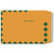 #W4938 Catalog Brown Kraft Envelope with First Class Border