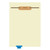 "OP/Path Reports" - Bottom Tab Fileback Divider with Fastener - Position 3 - Blue