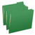 File Folders, Letter Size, Green, 1/3-Cut Tab, 2 Fasteners (S-30503-GRN-13)