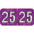 PMA Compatible Year Labels, 2025, Holographic Purple, 3/4 x 1-1/2, 500/RL