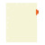 "Lab Reports" - Side Tab Chart Dividers with Hole Punch - Position 3 - Orange - Full Image