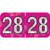 PMA Compatible Year Labels, 2028, Holographic Fuchsia, 3/4 x 1-1/2, 500/RL (HFYM-28)