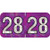 PMA Compatible Year Labels, 2028, Holographic Purple, 3/4 x 1-1/2, 500/RL