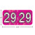 Holographic year label “29” – Fuchsia, 3/4 in x 1-1/2 in, wrap-around with center slit; white numbers, laminated.