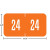 GBS/VRE Compatible Year Labels – 2024 Orange, 3/4 x 1-1/2, 94624