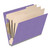 Purple end tab classification folder with three manila dividers and fasteners, DV-S43-38-18PRP