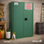 FireKing 45-Gallon Flammable Safety Cabinet