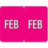 Datafile Month Label February 15/16 x 1-5/8 256/Pack