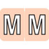 Amerifile ARAM-Series Label, Letter M