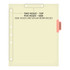 Chart Dividers, Side Tab, Position 3, Audiograms, Pink, 100/Box