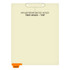 Chart Dividers, Bottom Tab, Position 1, Immunizations/Injections, Orange, 100/Box