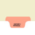 Chart Divider, Bottom Tab, Position 2, Pink, History/Physical, Pack/100