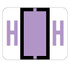 Click to zoom in on this Smead BCCR Compatible Label Letter H