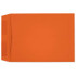 Starburst Catalog Yellow (9 x 12) 4959