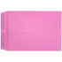 Starburst Catalog Pink (10 x 13) 5116