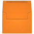 Starburst Announcement Envelopes (A-7) 6944