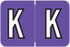 Barkley Alphabet Labels - BXAM Series - Letter K