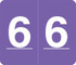 VA Hospital Numeric Color Coding Filing Labels, Number 6