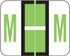 Smead Alphabetical Labels, BCCS-Series, 1 H x 1 1/4 W, Letter M, Fl. Green, 120/Pack