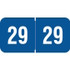 Traco Year Labels, 2029, Blue, 3/4 x 1-1/2, 500/Roll