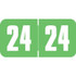 Safeguard Year Label 2024 – Light Green, SGYM-24, 3/4" x 1-1/2"