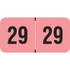 Reynolds & Reynolds Year Label 2029 – Pink, RRYM-25, 3/4" x 1-1/2"