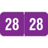 Reynolds & Reynolds Year Label 2028 – Purple, RRYM-25, 3/4" x 1-1/2"