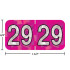 Holographic year label “29” – Fuchsia, 3/4 in x 1-1/2 in, wrap-around with center slit; white numbers, laminated.