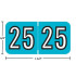 Barkley BKYM 2025 year label, light blue, 3/4" x 1-1/2"