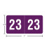 SYPK-23, 2023 purple, white digits, ETS labels, small year labels, 1/2 x 1, end-tab, polylaminated