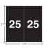 Ames AEYM year label, 2025, black, 1-7/8" square, single-face with white “2025”; split-back liner.