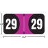 Arden ADYM year label, 2029 purple, 3/4" x 1-1/2", wrap-around with center-slit liner.