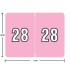 Data File AL8800-28 year label, 2028 pink, 15/16 x 1-1/4, laminated wrap-around, USA.