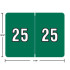 Data File AL8800-25 year label, 2025 dark green, 15/16 x 1-1/4, laminated wrap-around, USA.