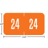 GBS/VRE Compatible Year Labels – 2024 Orange, 3/4 x 1-1/2, 94624