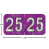 Holographic year label “25”, Purple, 3/4 x 1-1/2 in, wrap-around, center-slit, white digits, laminated.