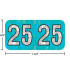 Holographic year label “25”, Aqua, 3/4 x 1-1/2 in, wrap-around, center-slit, white digits, laminated.