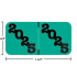 Jeter Compatible JPYM-25 Year Labels – 2025 Teal, 3/4" x 1-1/2", 500/Box