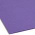 Smead Fastener File Folders, Letter Size, Purple, Reinforced 1/3-Cut Top Tab, 2 Fasteners, 11pt, 50/Box (13040)