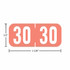 TAB year labels A1287-30-T3, 2029 Pink, 1/2 inch by 1-1/8 inch, matte vinyl, 500 per roll.