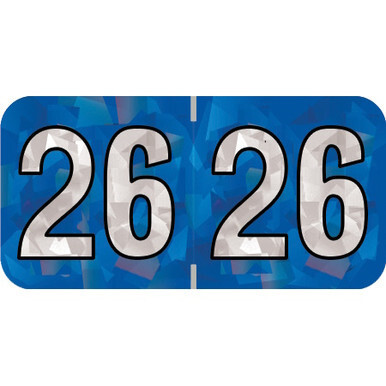 Year Labels