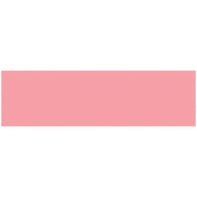 Ames ASLP Solid Color Labels