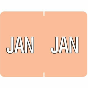 Data File Month Labels