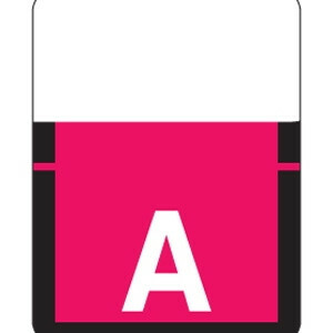 Tab Products 1307 Alphabetic Labels