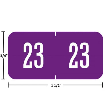 GBS/VRE Compatible Year Labels – 2023 Purple, 3/4 x 1-1/2, 94623